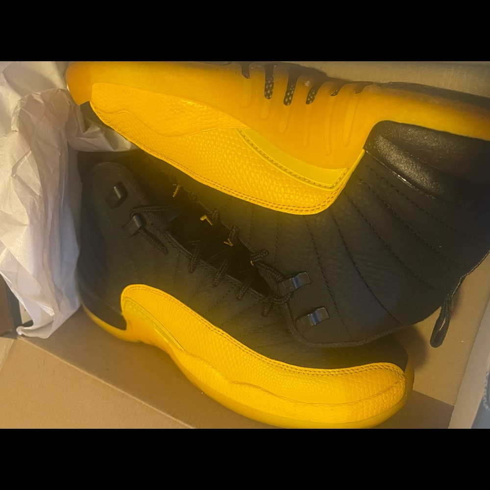 Air Jordan 12